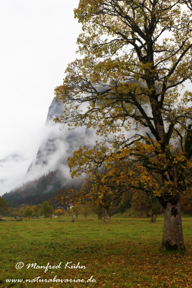 Großer Ahornboden (Österreich)_0032