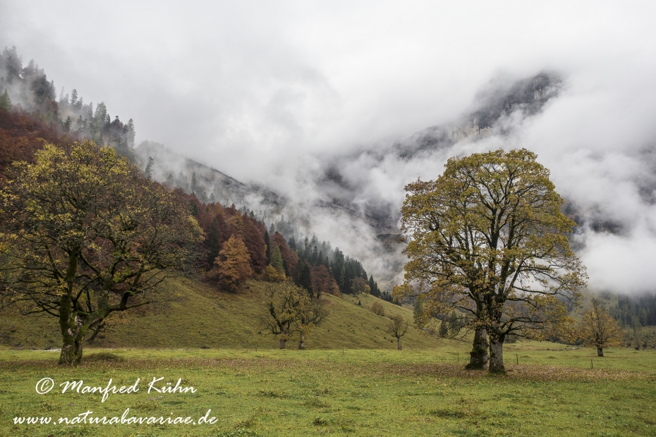 Großer Ahornboden (Österreich)_0043