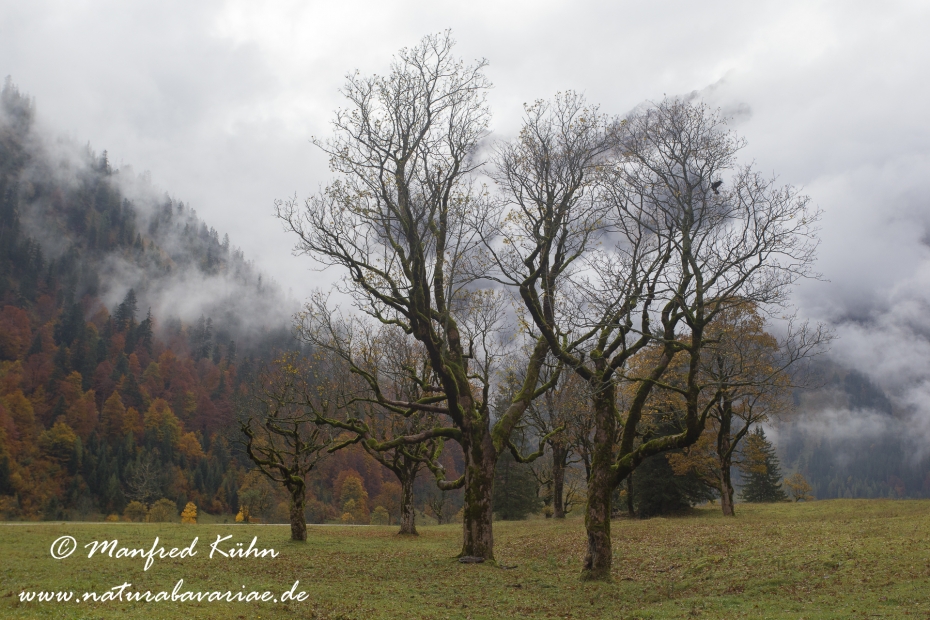 Großer Ahornboden (Österreich)_0054