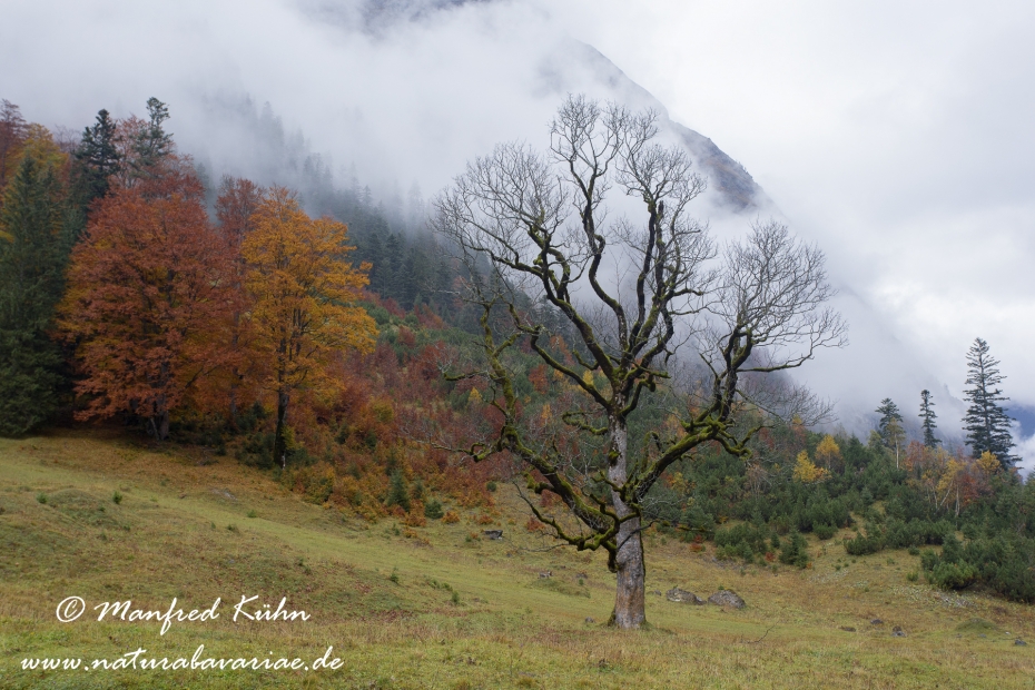 Großer Ahornboden (Österreich)_0059