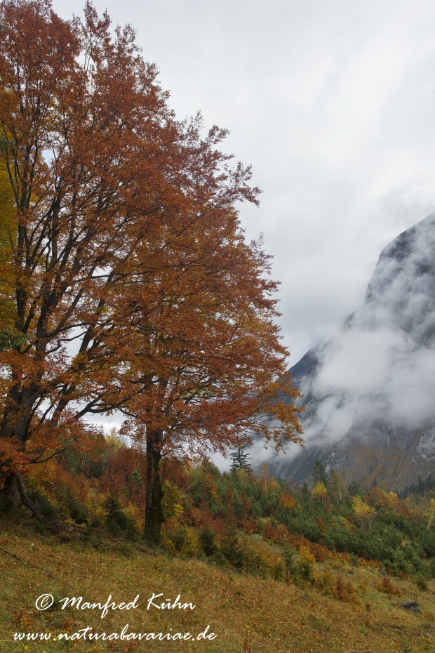 Großer Ahornboden (Österreich)_0062