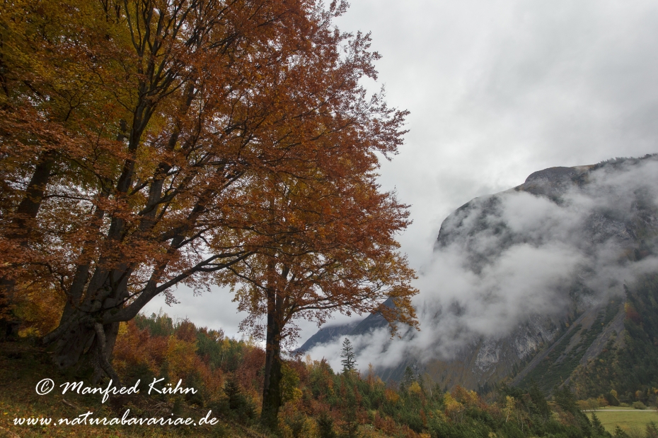 Großer Ahornboden (Österreich)_0064