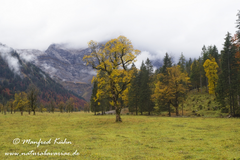 Großer Ahornboden (Österreich)_0087