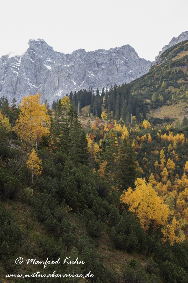 Kleiner Ahornboden (Oesterreich)_0033