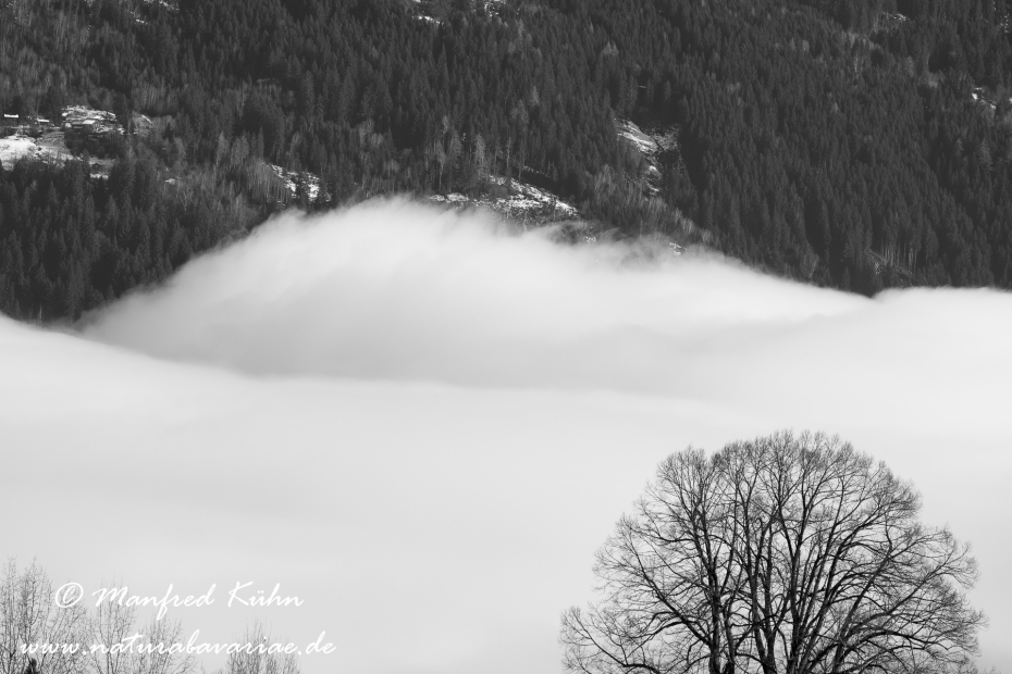 Fügen_Zillertal (Österreich)_0003