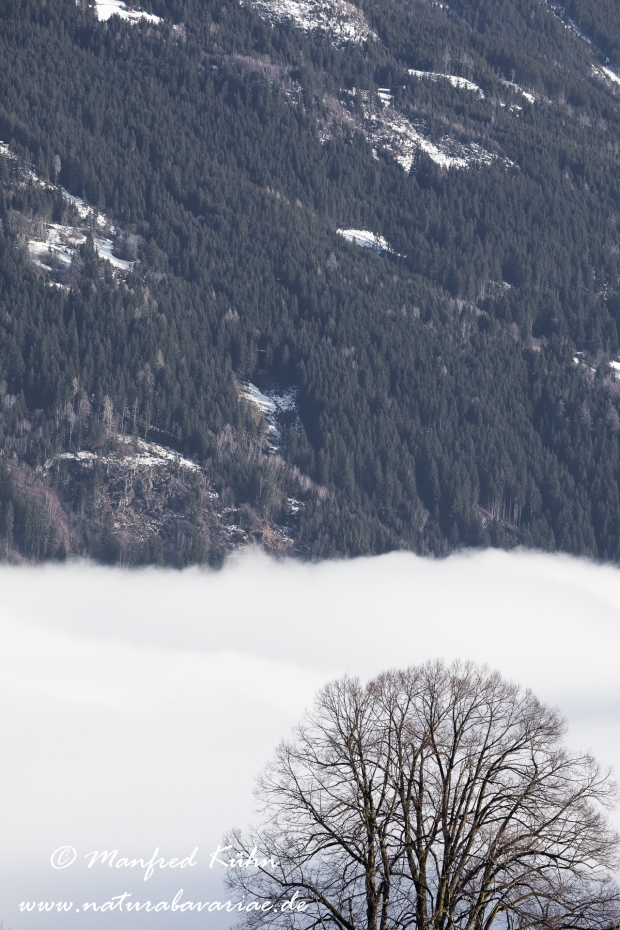 Fügen_Zillertal (Österreich)_0008