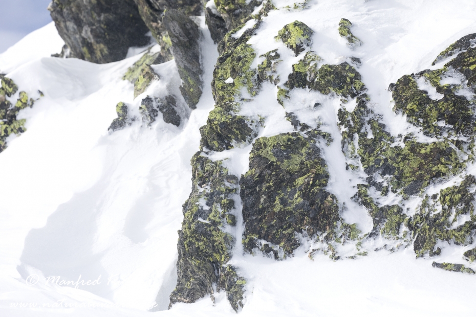 Hochfügen_Zillertal (Österreich)_0004