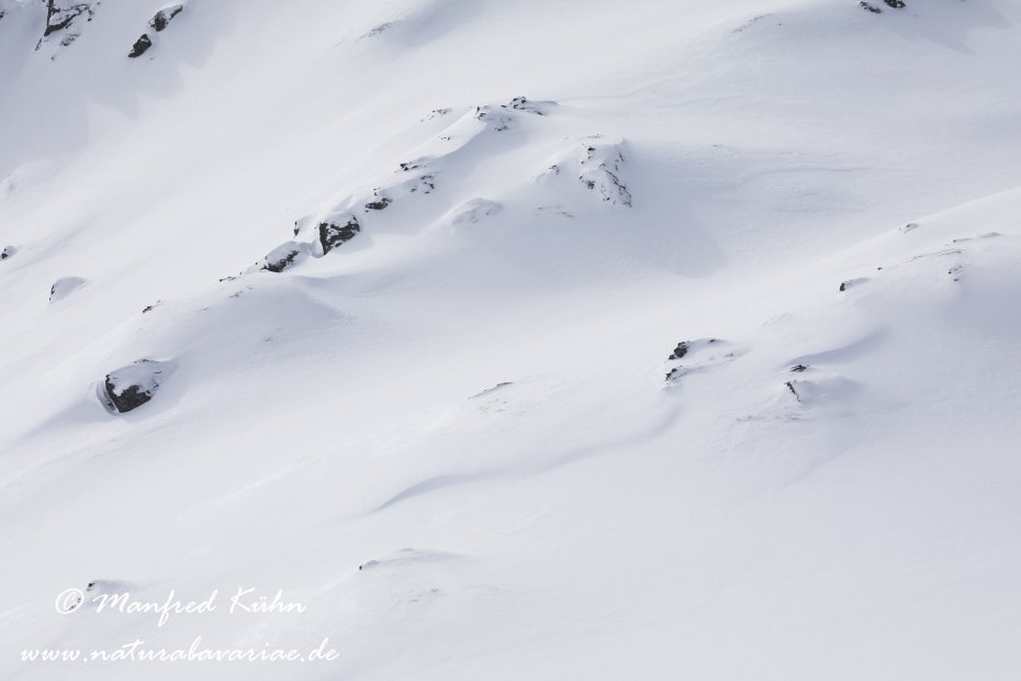 Hochfügen_Zillertal (Österreich)_0013