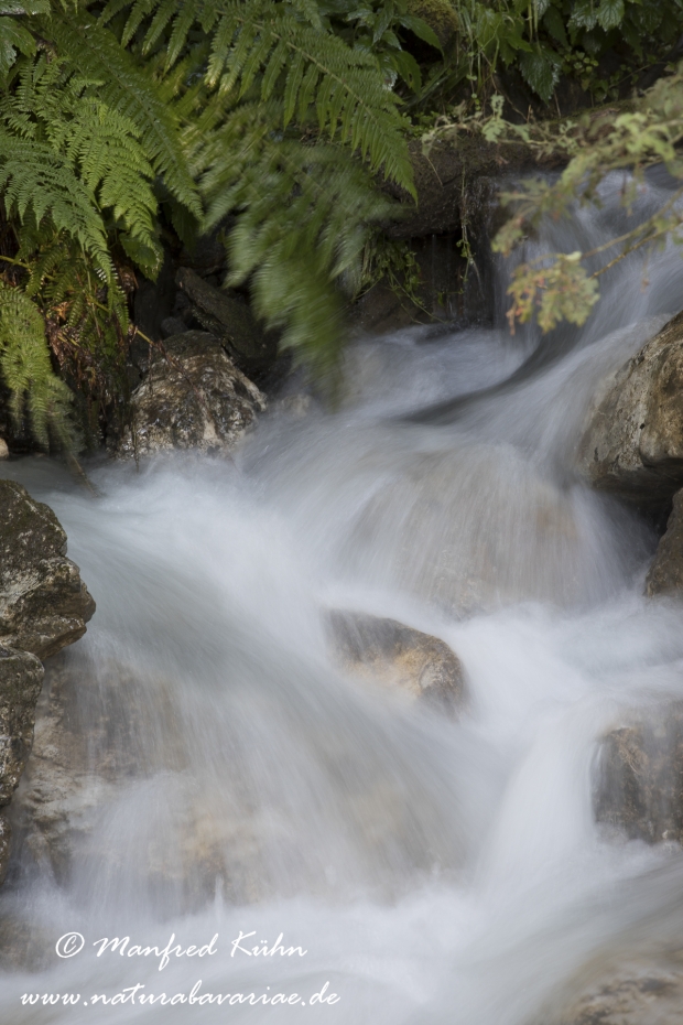 Lamersbach_Zillertal (Österreich)_0003