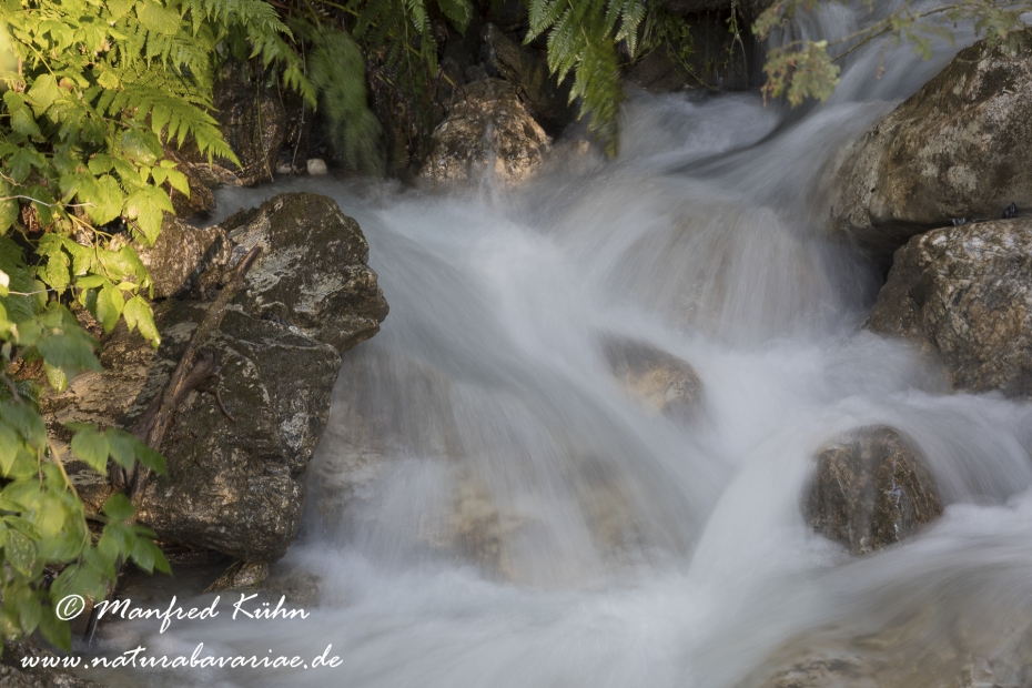 Lamersbach_Zillertal (Österreich)_0008