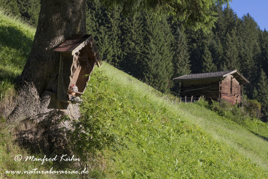 Lamersbach_Zillertal (Österreich)_0017