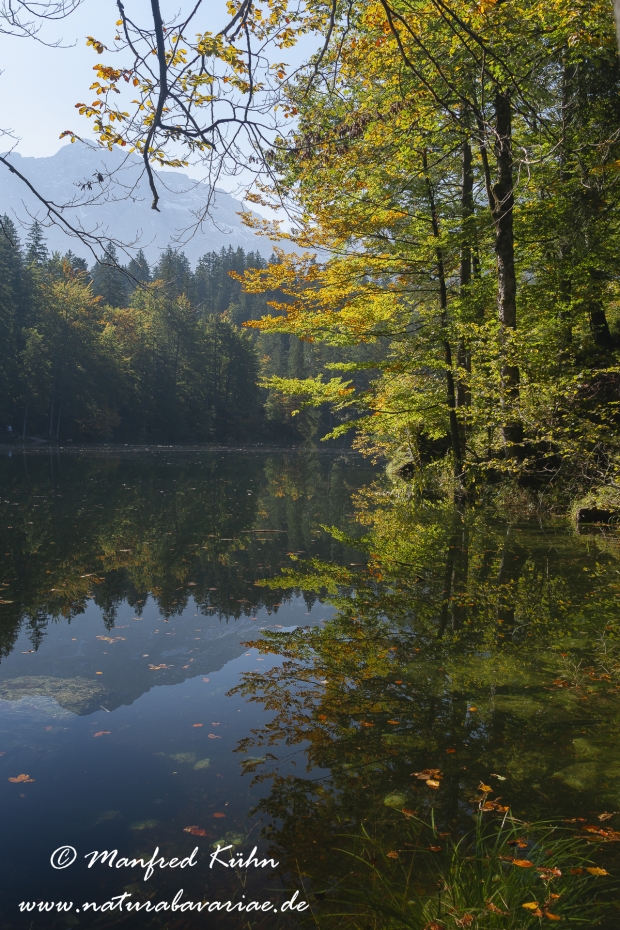 Oberoesterreich (Oesterreich)_0030