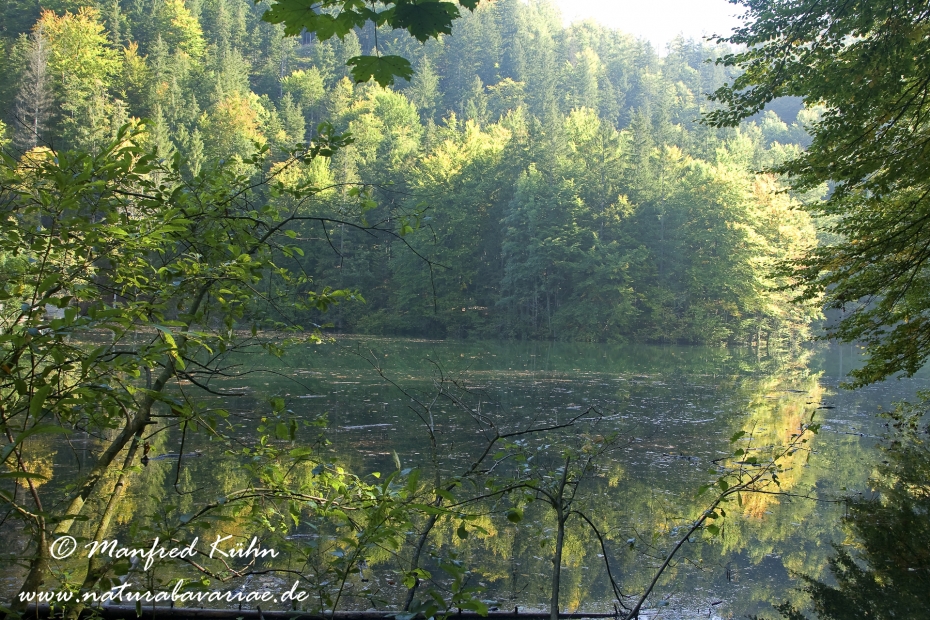 Oberoesterreich (Oesterreich)_0041