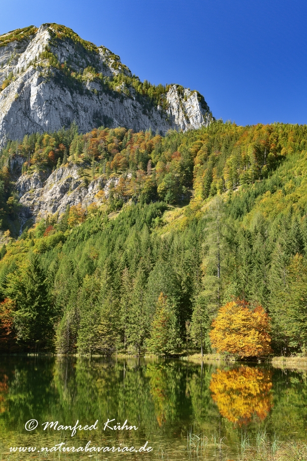 Oberoesterreich (Oesterreich)_0046