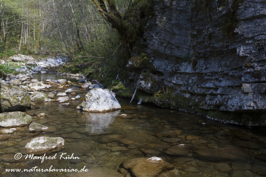 Kozjak-Faelle (Slowenien)_0004