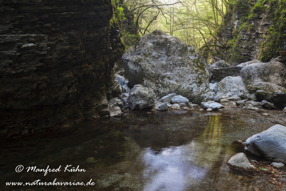 Kozjak-Faelle (Slowenien)_0032