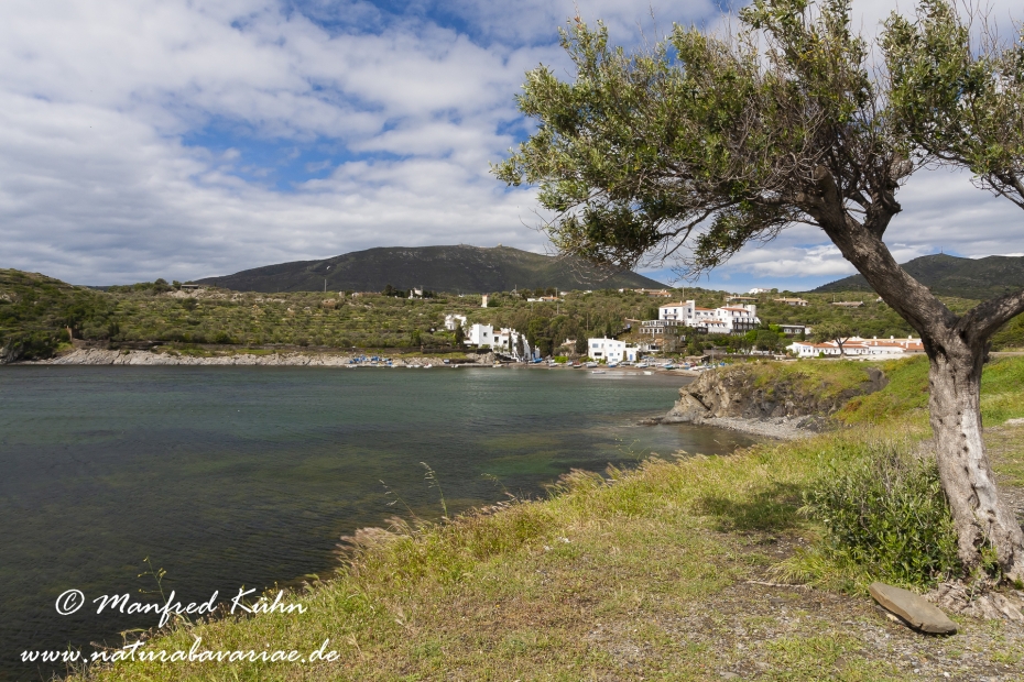 Costa_Brava (Spanien)_0002