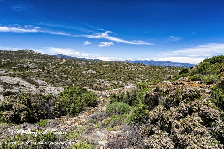 Costa_Brava (Spanien)_0011