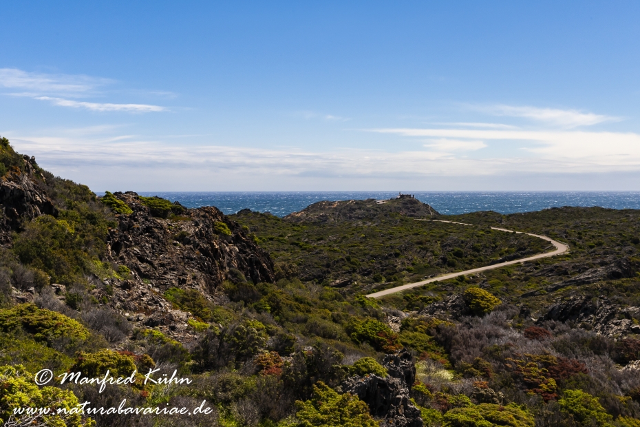 Costa_Brava (Spanien)_0012