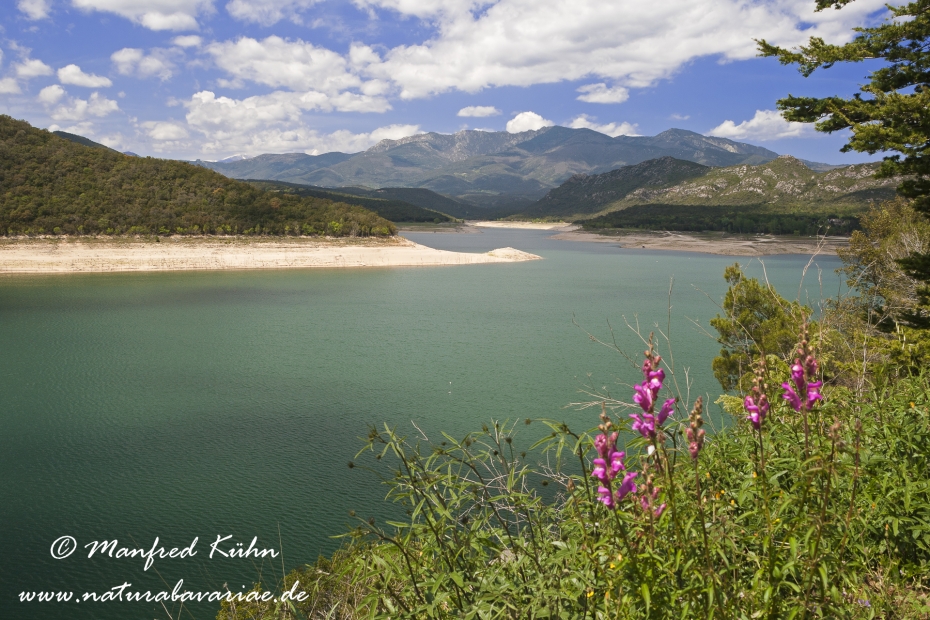 Costa_Brava (Spanien)_2687