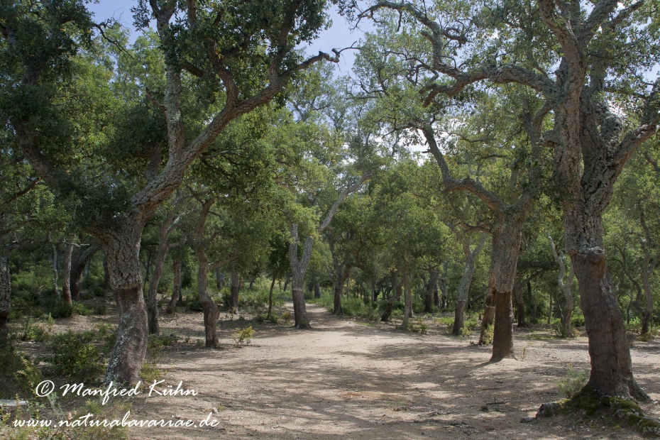 Costa_Brava (Spanien)_2693