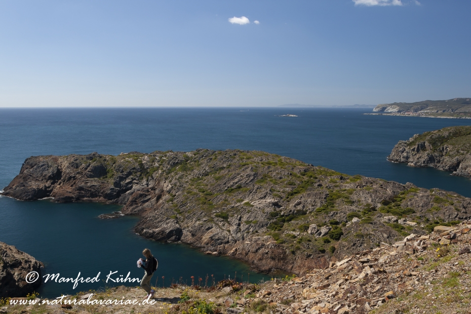 Costa_Brava (Spanien)_2750
