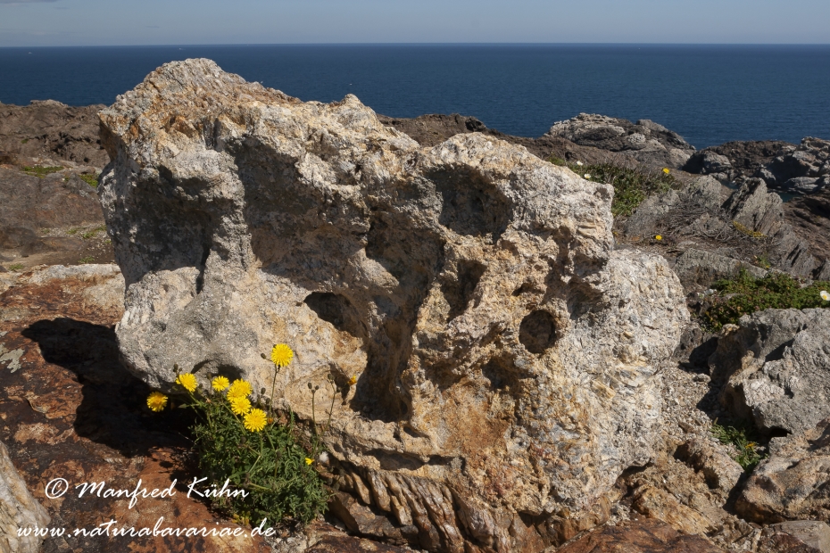 Costa_Brava (Spanien)_2758