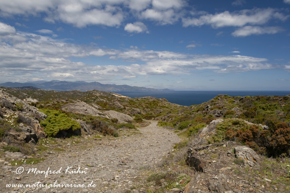Costa_Brava (Spanien)_2767