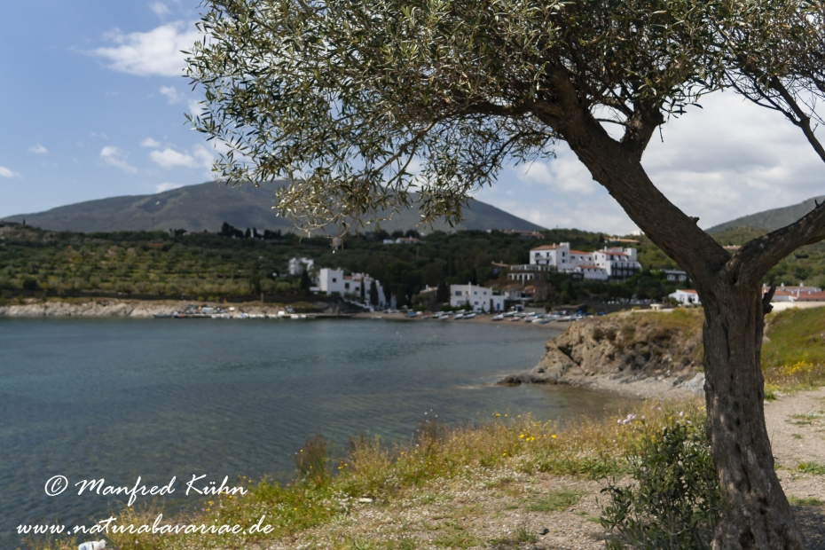 Costa_Brava (Spanien)_2771