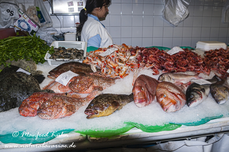 Costa_Brava (Spanien)_2779