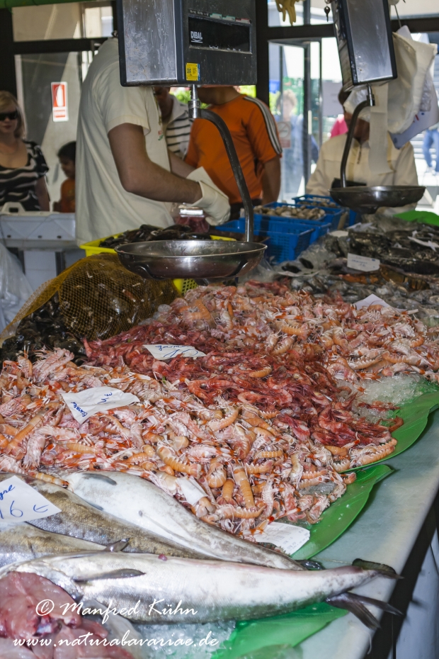 Costa_Brava (Spanien)_2781