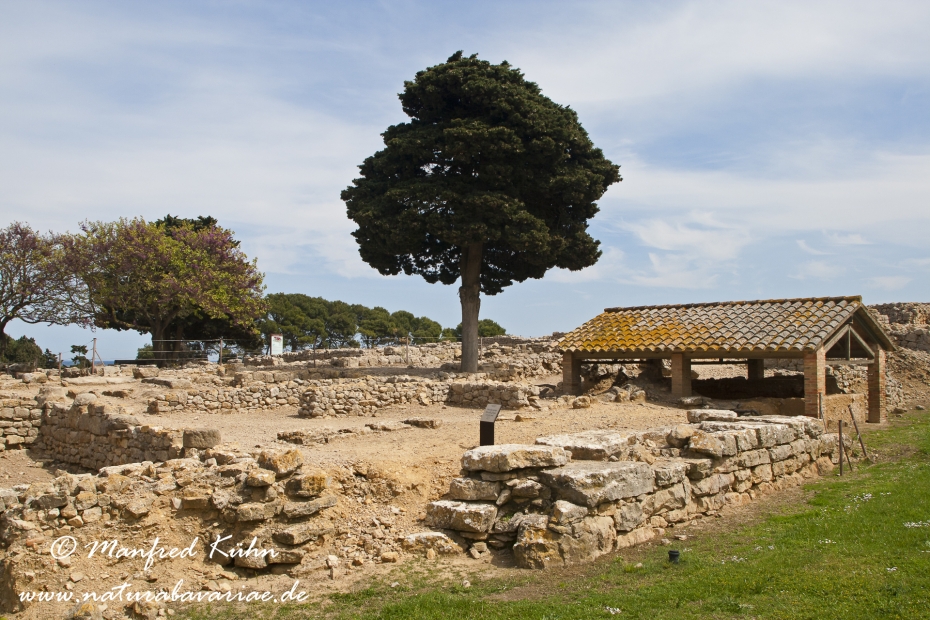 Costa_Brava (Spanien)_2812