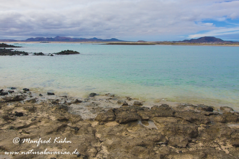 Los Lobos (Kanaren)_0015