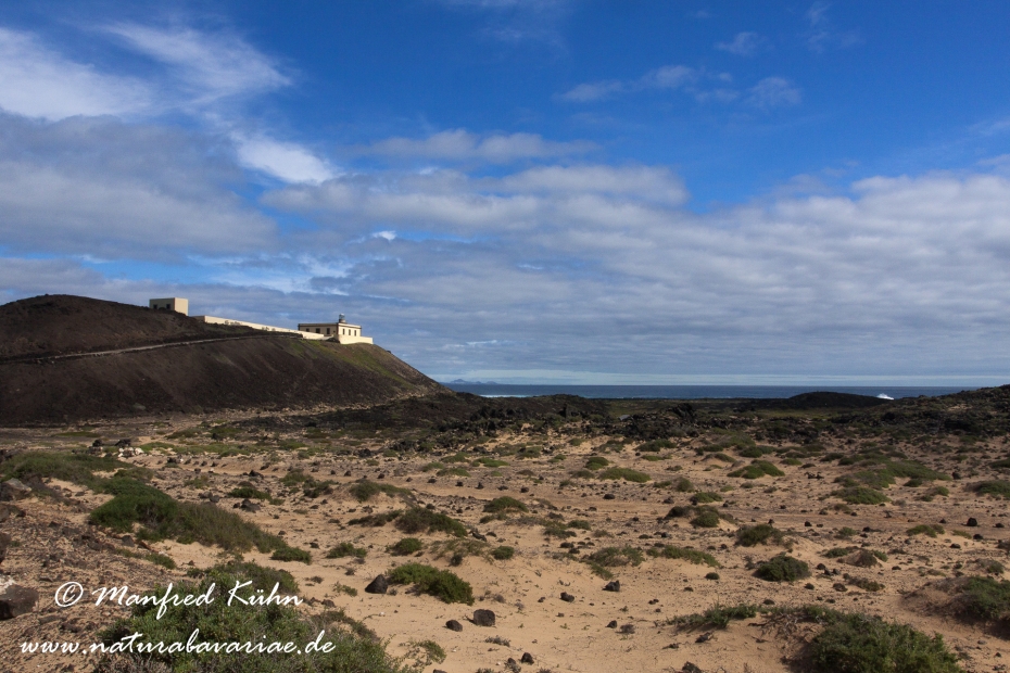 Los Lobos (Kanaren)_0025