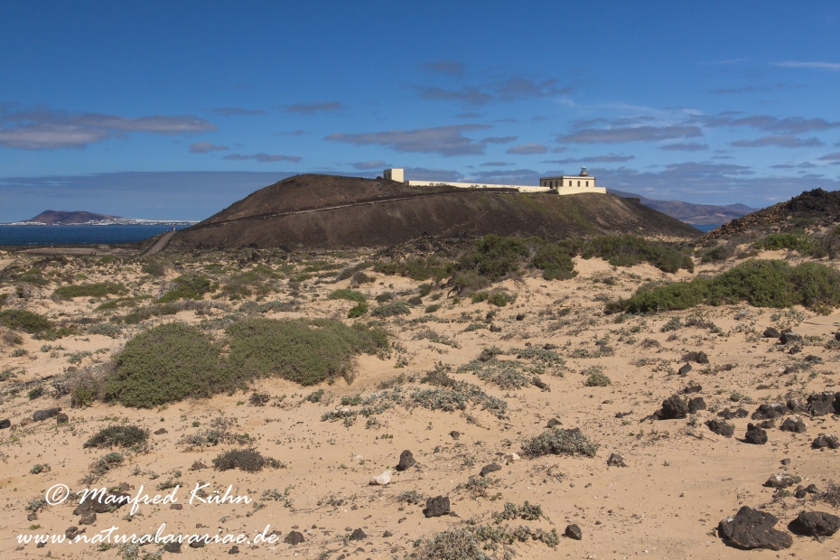 Los Lobos (Kanaren)_0032