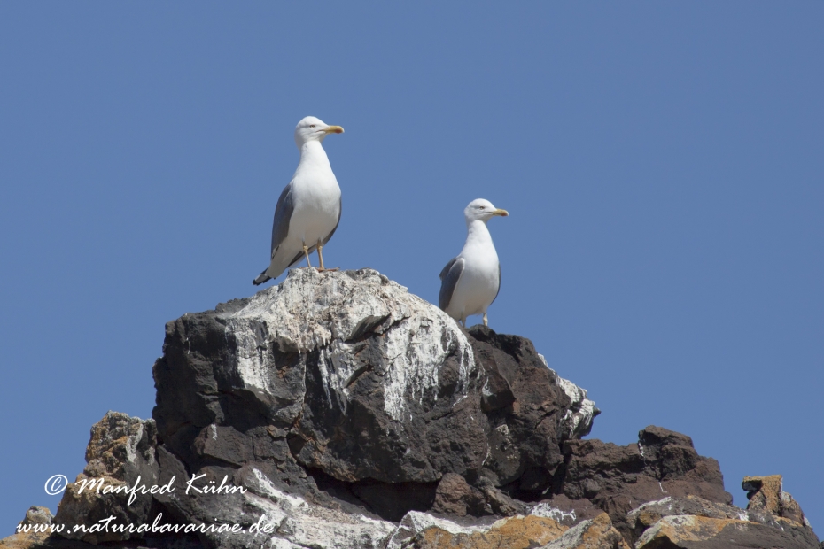 Los Lobos (Kanaren)_0033