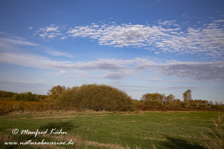 Federsee (Baden-Wuerttemberg)_0022