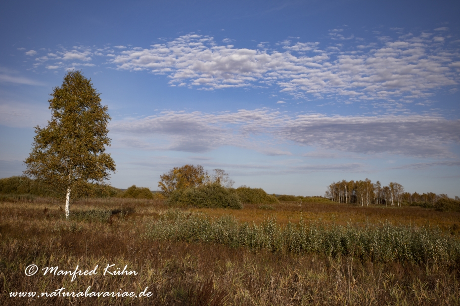 Federsee (Baden-Wuerttemberg)_0023