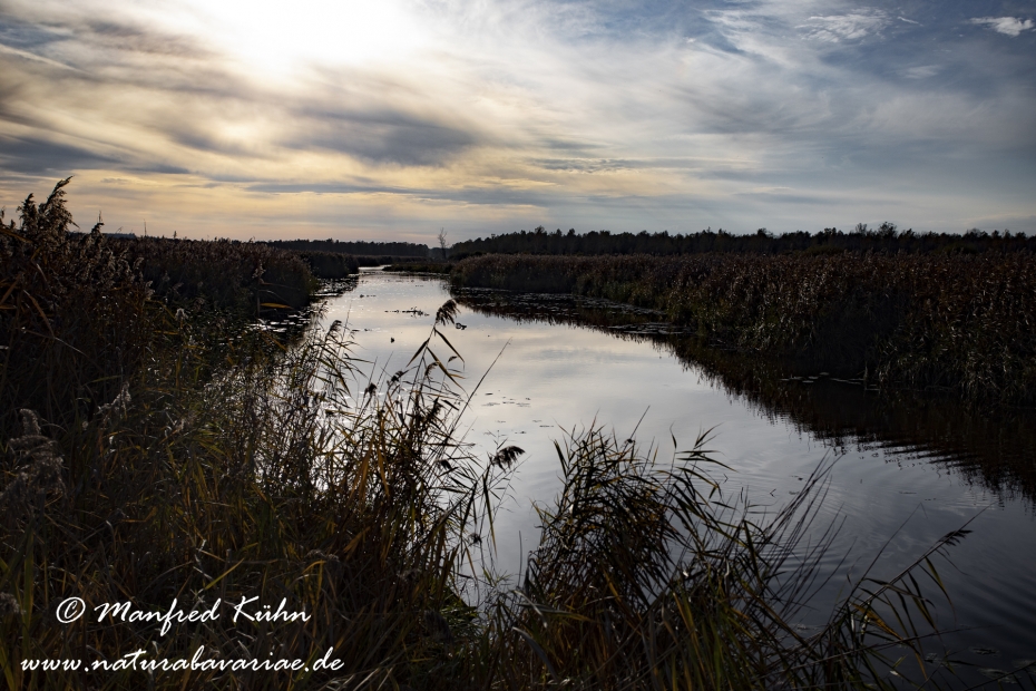 Federsee (Baden-Wuerttemberg)_0026