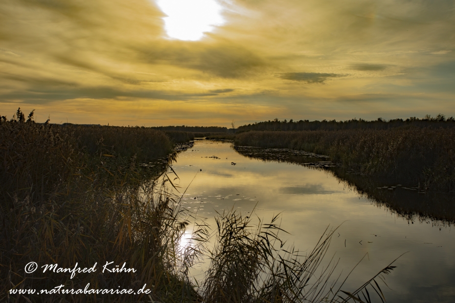 Federsee (Baden-Wuerttemberg)_0028