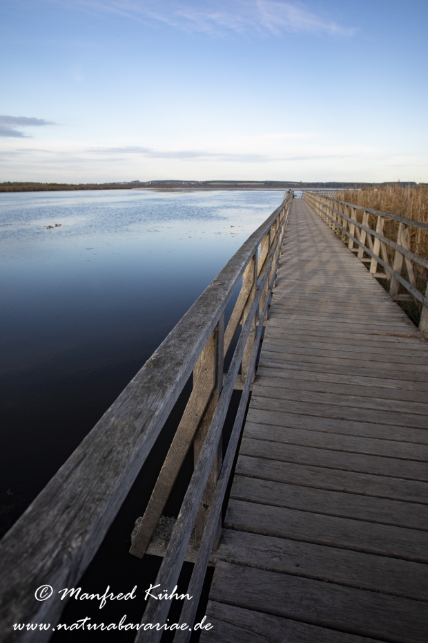 Federsee (Baden-Wuerttemberg)_0036