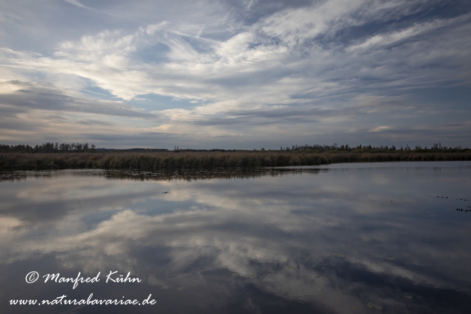Federsee (Baden-Wuerttemberg)_0042