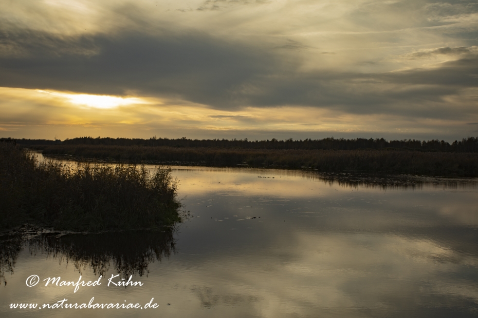 Federsee (Baden-Wuerttemberg)_0043