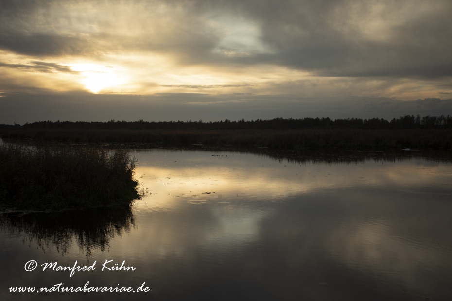 Federsee (Baden-Wuerttemberg)_0046