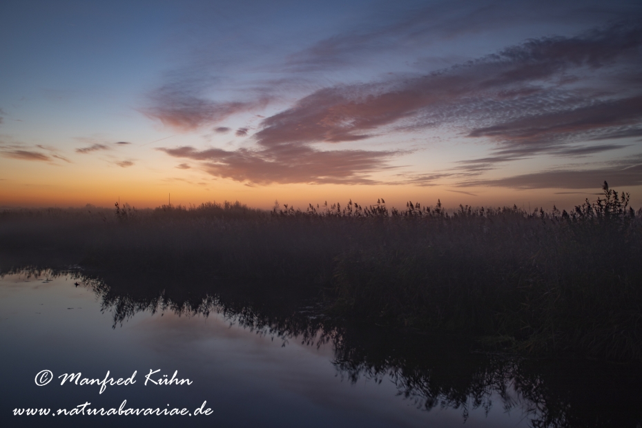 Federsee (Baden-Wuerttemberg)_0047