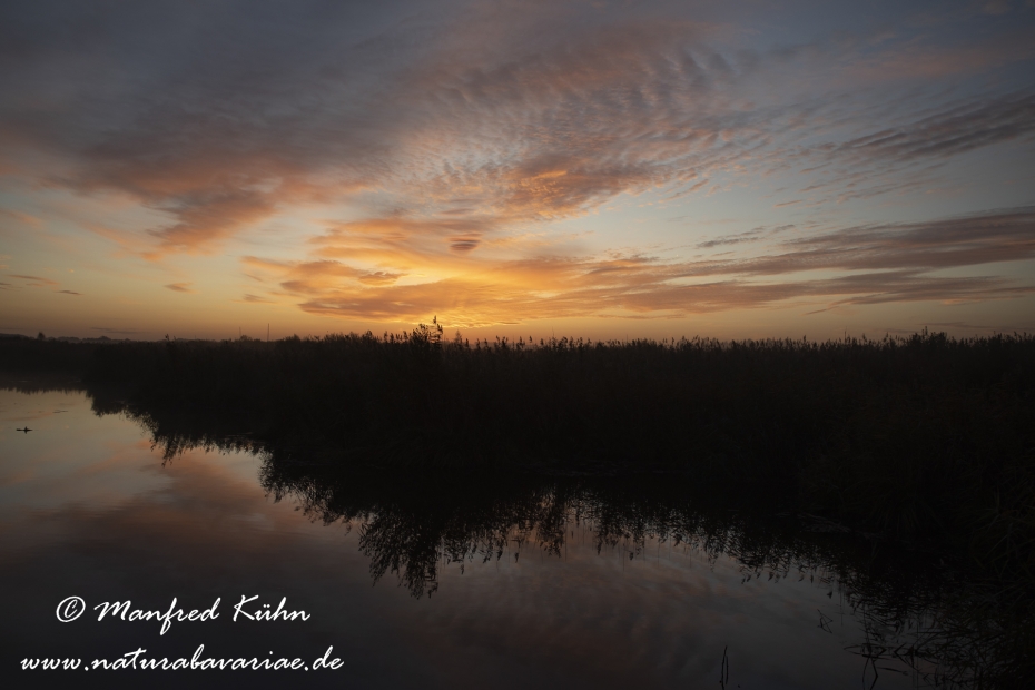 Federsee (Baden-Wuerttemberg)_0053