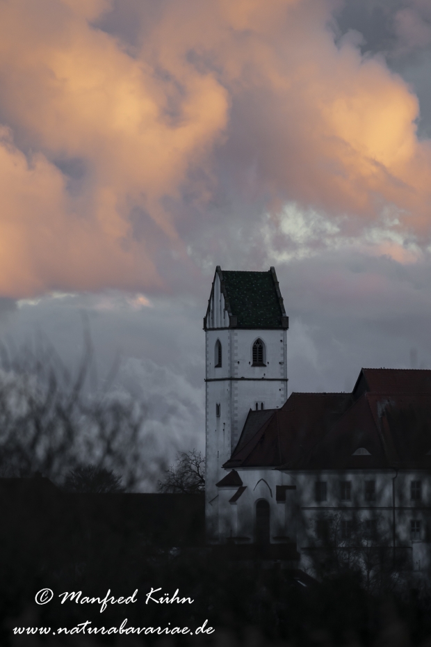 Federsee (Baden-Wuerttemberg)_0061