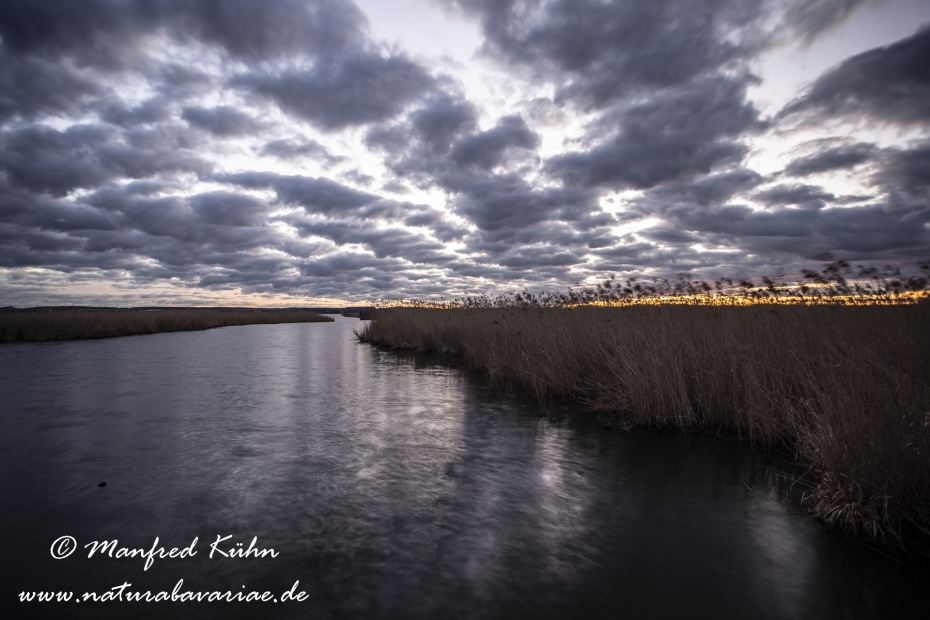Federsee (Baden-Wuerttemberg)_0064