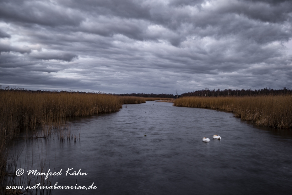 Federsee (Baden-Wuerttemberg)_0066