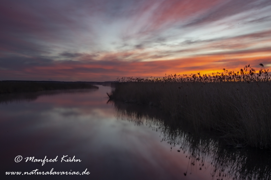 Federsee (Baden-Wuerttemberg)_0083